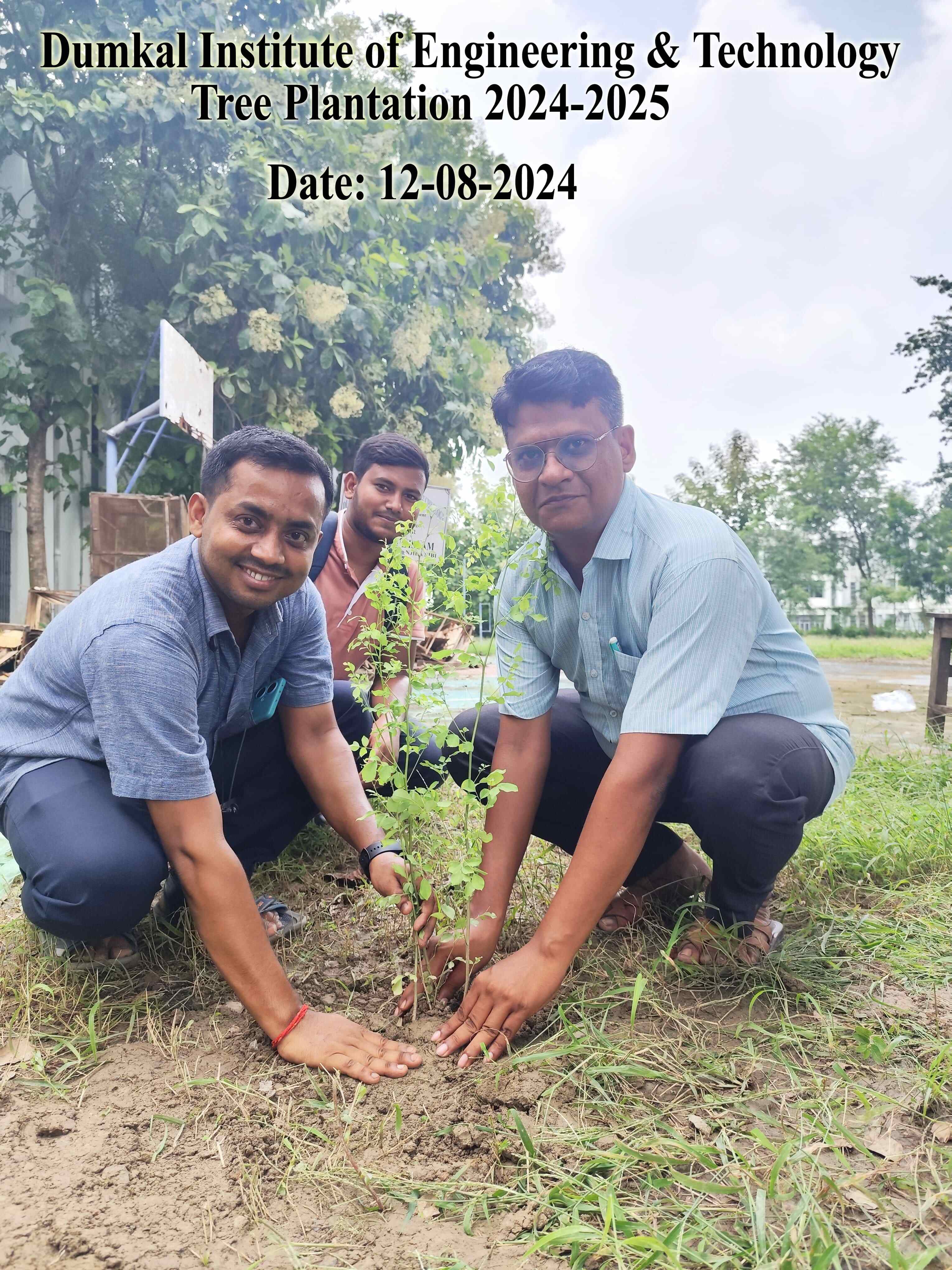 Tree Plantation