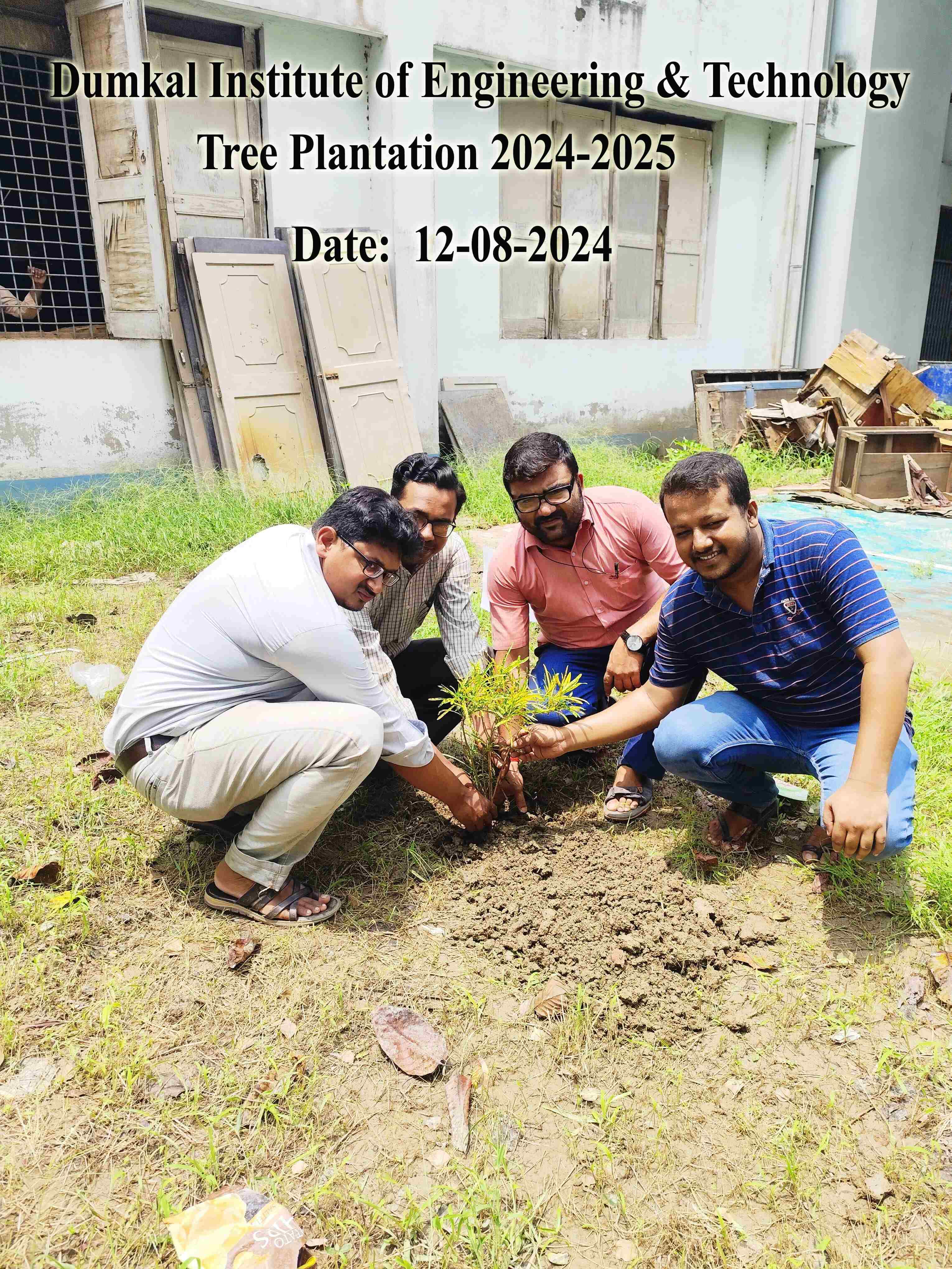Tree Plantation