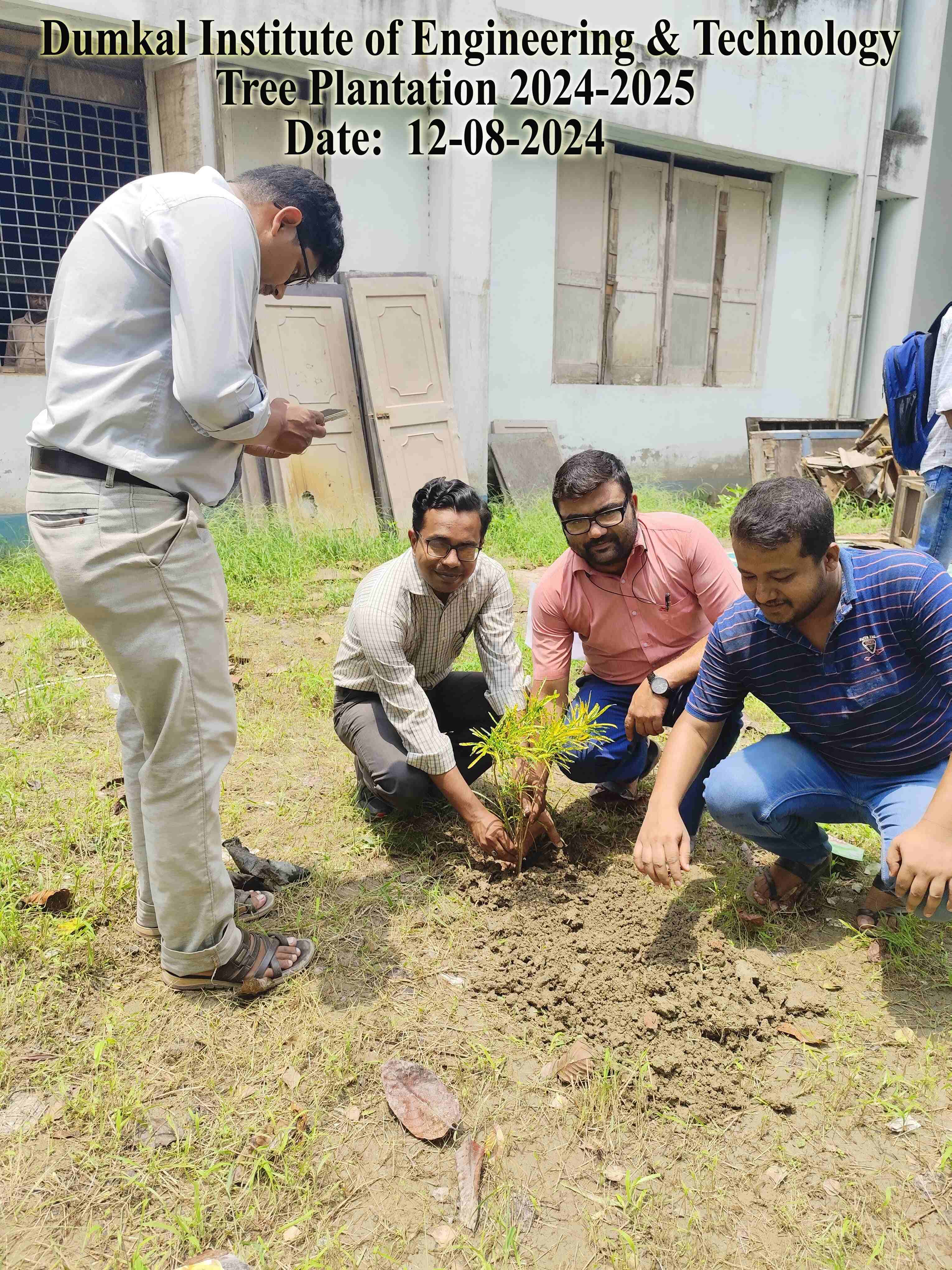 Tree Plantation